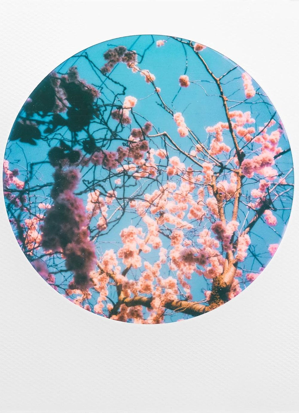 Color Film for 600 - Round Frame (6021) - Image 6